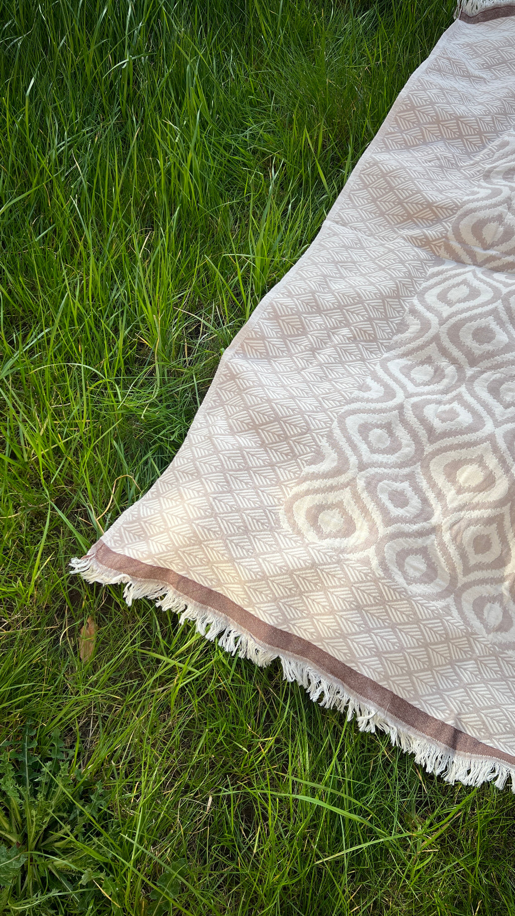 Beige patterned throw blanket with fringes, perfect for cozying up or adding style to your decor.